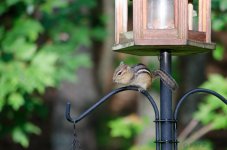 DSC_8594.jpg