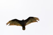 4th 2013 035.jpg