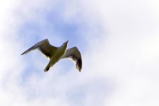 4th 2013 094.jpg