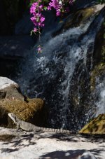 DSC_1596.JPG