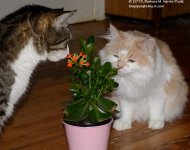 189 Alex& Creature-130708-01_01.jpg