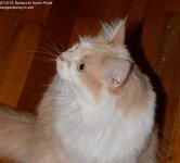 189 Alex& Creature-130708-02_01.jpg