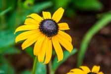 DSC_1164.jpg