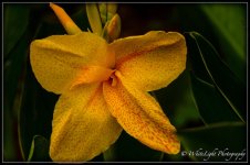 DSC__WLP_0001-17.jpg