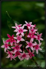 DSC__WLP_0001-18.jpg