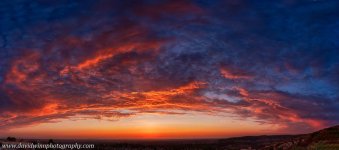 _DW14376_HDR-panVShrpDis-2.jpg