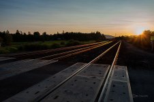 tracks.jpg
