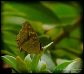 DSC__WLP_0001-25.jpg