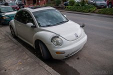 Lady Bug (1 of 1).jpg