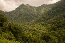 Mountain (1 of 1).jpg