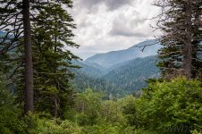 Mountain1 (1 of 1).jpg