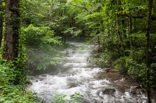 Misty River (1 of 1).jpg