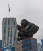 KingKong (1 of 1).jpg