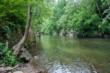 River Wall1 (1 of 1).jpg