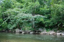 Riverbank (1 of 1).jpg