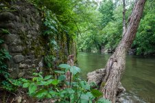 River Wall (1 of 1).jpg