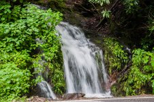Waterfall (1 of 1).jpg