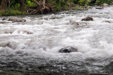 White Rapids1 (1 of 1).jpg