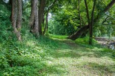 Waterside Path (1 of 1).jpg
