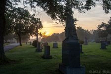 DSC_1277.jpg