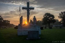 DSC_1278.jpg