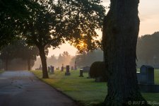 DSC_1279.jpg