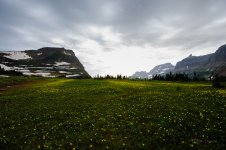 DSC_9060.jpg