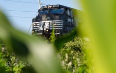 20130712-_1RB8416.jpg