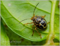 DSC__WLP_0001-40.jpg