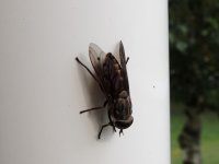 DSCN9398.jpg