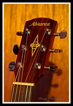 Day194Guitar.jpg