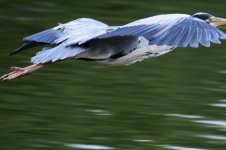 DSC_8403.JPG