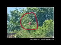 Bluffs-3.jpg