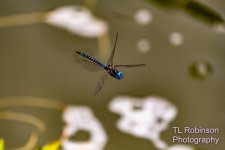 850_2102.jpg