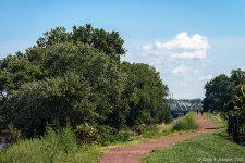 _DSC6583 low res.jpg