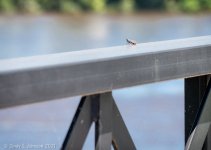 _DSC6584 low res.jpg