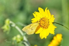 09-04-21-CR-_D502097-ON1.jpg