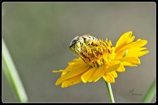 09-04-21-CR-_D502099-ON1.jpg