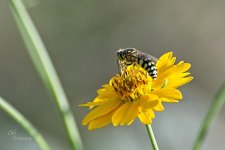 09-04-21-CR-_D502104-ON1.jpg