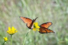 09-07-21-CR-_D502163-ON1.jpg