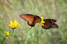09-07-21-CR-_D502165-ON1.jpg