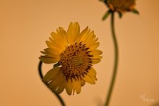 09-08-21-CR-_7505577-ON1.jpg