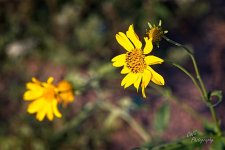 09-08-21-CR-_7505578-ON1.jpg