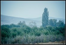 _7502561-Edit.jpg