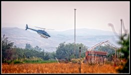 _7502633-Edit.jpg