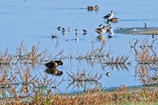 09-10-21-CR-_D502206-ON1.jpg