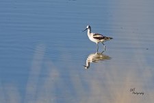 09-10-21-CR-_D502220-ON1.jpg