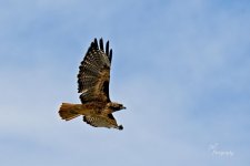 09-11-21-CR-_D502229-ON1.jpg