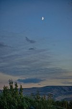 DSC_1728-Edit.jpg