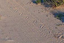 09-09-21-CR-_D502196-ON1.jpg